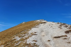 20221028_102929
