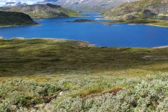 20220808_132316-scaled