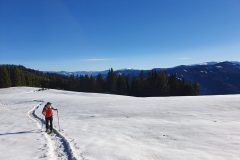 20211218_115319-scaled