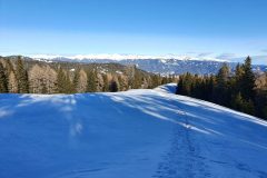 20211218_134704-scaled