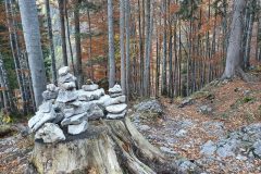 20211029_152100-scaled