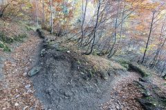 20211029_152633-scaled