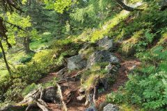 20210724_074833-scaled
