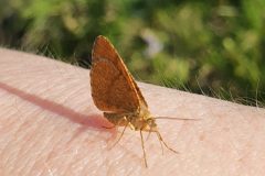 20210724_082624-scaled