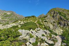 20210724_091545-scaled