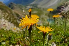 20210724_115104-scaled