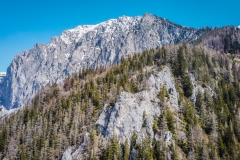 DCIM100MEDIADJI_0913.JPG