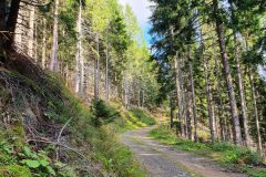 20210918_085653-scaled