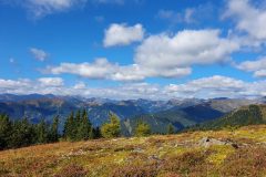 20210918_103644-scaled