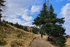 20211113_102452-scaled