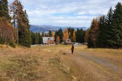20211113_120959-scaled