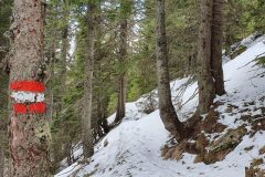 20210422_120951-scaled