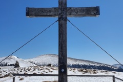 wildeggkogel-scaled