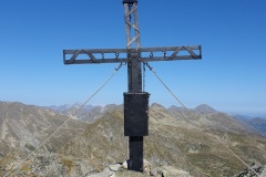 eisenhut-scaled