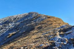 20221031_110927-scaled