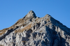 DSC1639