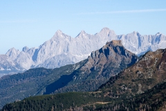 DSC1668