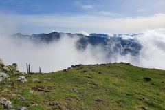 20220605_081108