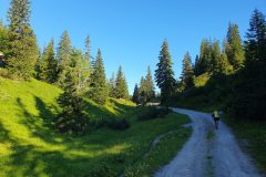 20230715_074240-scaled
