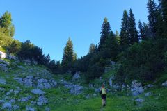 20230715_081240-scaled