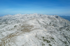 tragl_aerial3