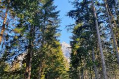 20210421_090444-scaled