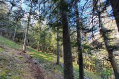 20210421_102903-scaled