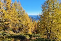 20211023_132953-scaled