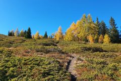 20211023_133154-scaled