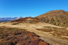 20211023_135228-scaled