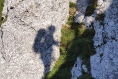 20210825_164827-scaled