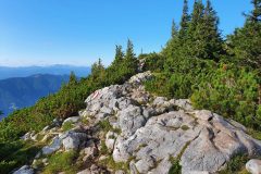 20210825_173700-scaled