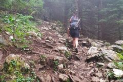20210809_084051-scaled