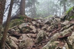 20210809_084828-scaled
