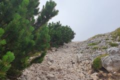 20210809_093759-scaled