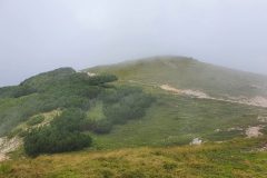 20210809_094900-scaled