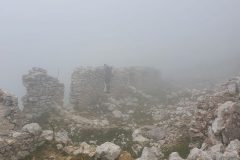 20210809_100117-scaled