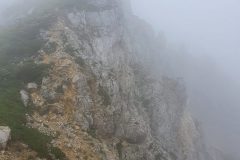 20210809_100811-scaled