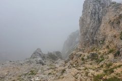 20210809_100855-scaled