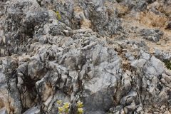 20210809_101409-scaled