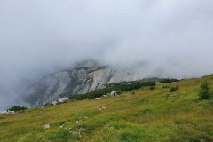 20210809_101551-scaled