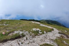 20210809_110521-scaled