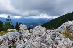 20210809_112441-scaled