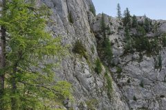 20230618_115248-scaled
