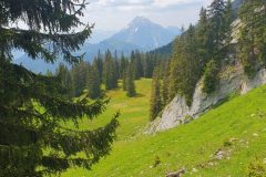 20230618_122951-scaled