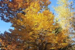 20211025_093839-scaled