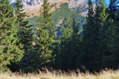 20211025_102929-scaled