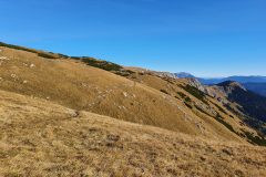 20211025_115747-scaled