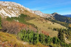 20211025_140843-scaled