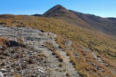 20210925_111219-scaled